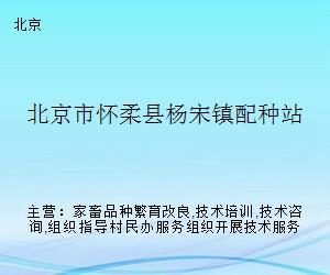 懷柔畜牧技術(shù)服務(wù)站 深化配種技術(shù)咨詢，助力鄉(xiāng)村振興